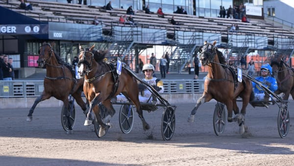 Foto: LARS JAKOBSSON / TR BILD