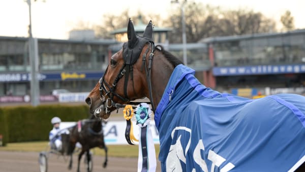 Foto: LARS JAKOBSSON / TR BILD