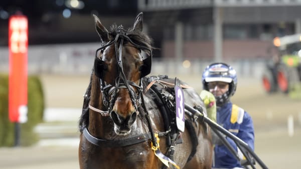 Foto: LARS JAKOBSSON / TR BILD