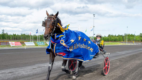 Foto: MIKAEL ROSENQUIST / TR BILD