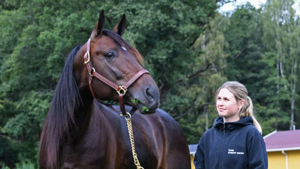 Foto: MALIN ALBINSSON / TR BILD