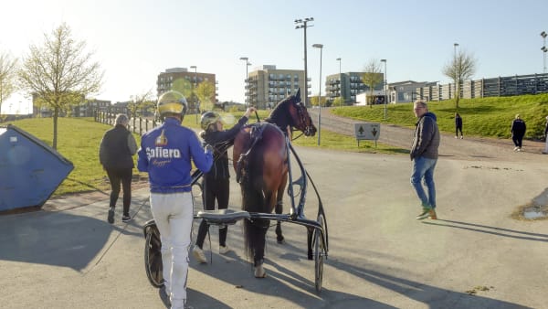 Foto: LARS JAKOBSSON/TR BILD