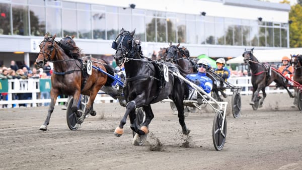 Foto: MALIN ALBINSSON / TR BILD