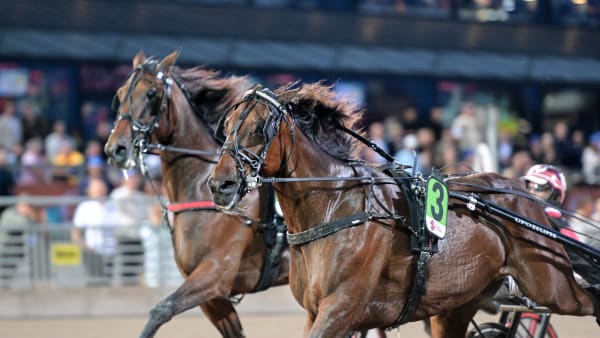 Foto: LARS JAKOBSSON / TR BILD