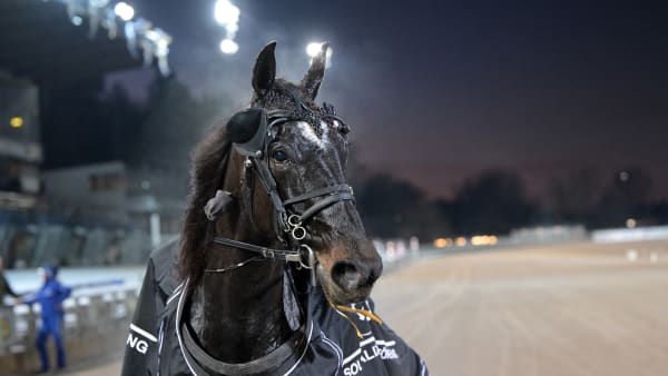 Foto: LARS JAKOBSSON / TR BILD