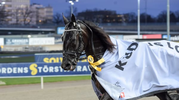 Foto: LARS JAKOBSSON / TR BILD