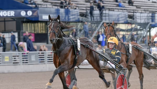 Foto: LARS JAKOBSSON / TR BILD