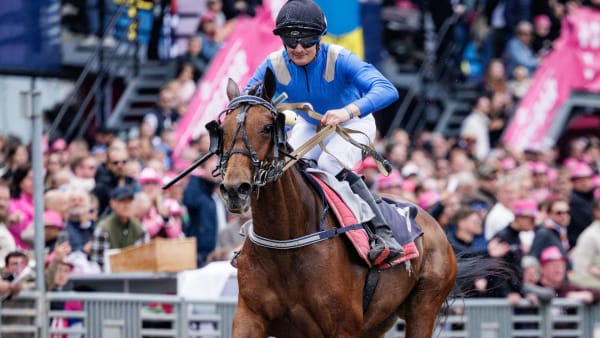 Foto: LENA EMMOTH / TR BILD