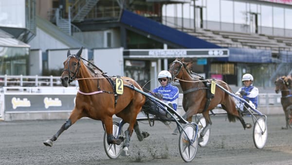 Foto: MARIA HOLMÉN / TR BILD