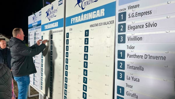 Foto: Mattias Holmgren / TR Media