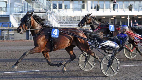 Foto: MALIN ALBINSSON / TR BILD
