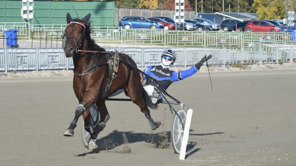 Foto: CHRISTER NORIN/ALN