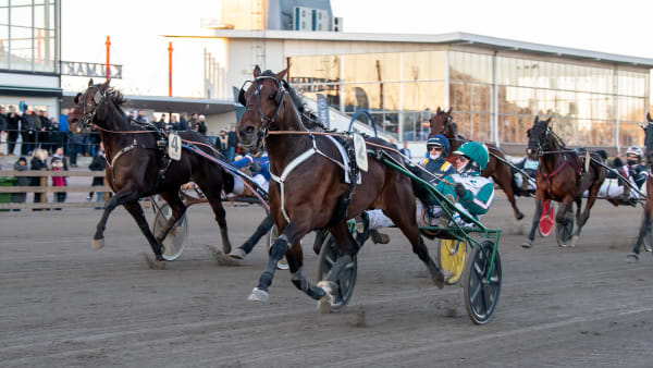 Foto: MIKAEL ROSENQUIST / TR BILD