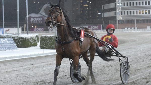 Foto: LARS JAKOBSSON / TR BILD