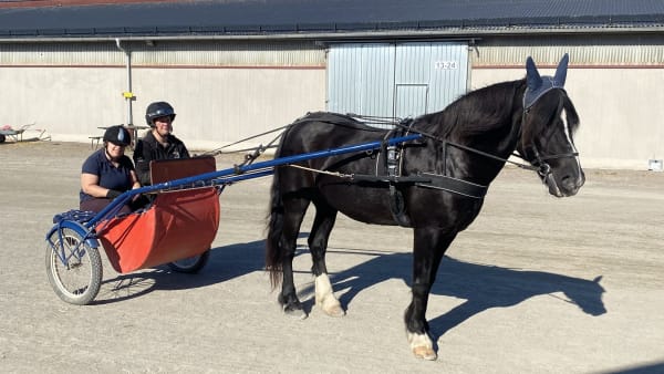 Foto: Kalmar travskola