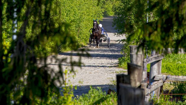 Foto: SVANTE HARSTRÖM