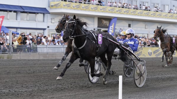 Foto: LENA EMMOTH / TR BILD