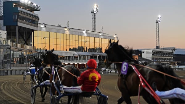 Foto: MALIN ALBINSSON / TR BILD