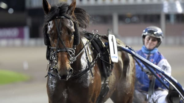 Foto: LARS JAKOBSSON / TR BILD