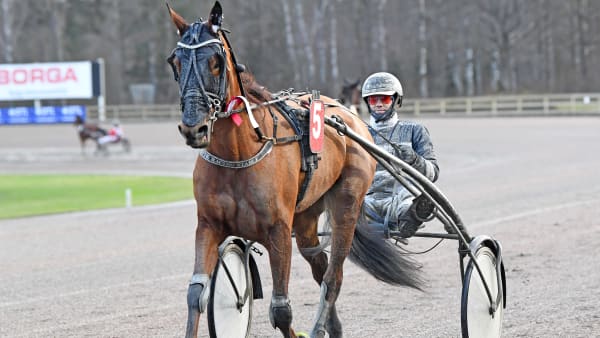 Foto: MALIN ALBINSSON / TR BILD