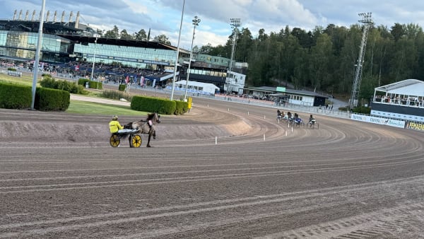 Foto: Rickard Hansson/TR Bild.