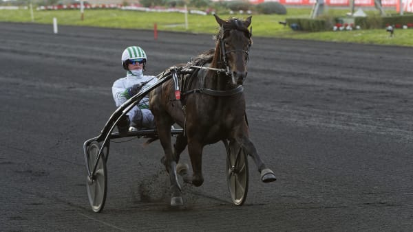 Foto: JEAN-LUC LAMAÈRE/LE TROT