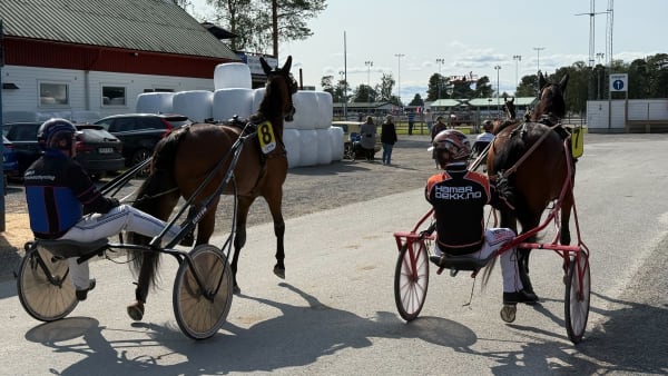 Foto: TONY RYTTAR/TR BILD