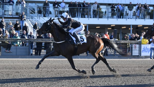 Foto: MALIN ALBINSSON / TR BILD