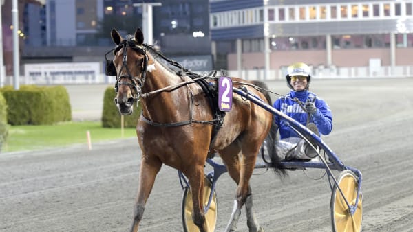 Foto: LARS JAKOBSSON / TR BILD