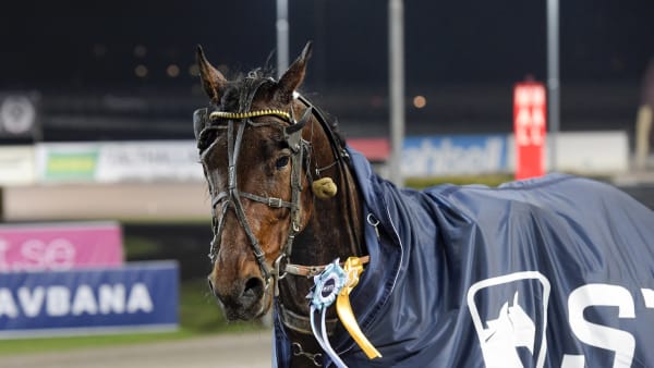 Foto: LARS JAKOBSSON / TR BILD