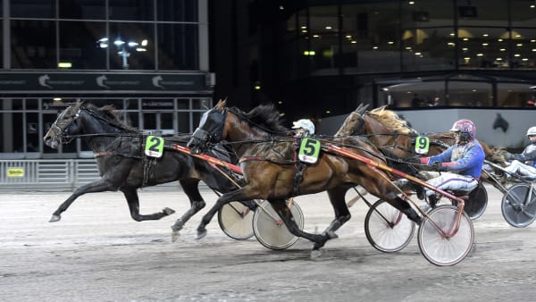 Foto: LARS JAKOBSSON / TR BILD