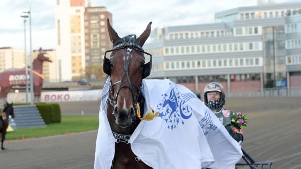 Foto: LARS JAKOBSSON / TR BILD