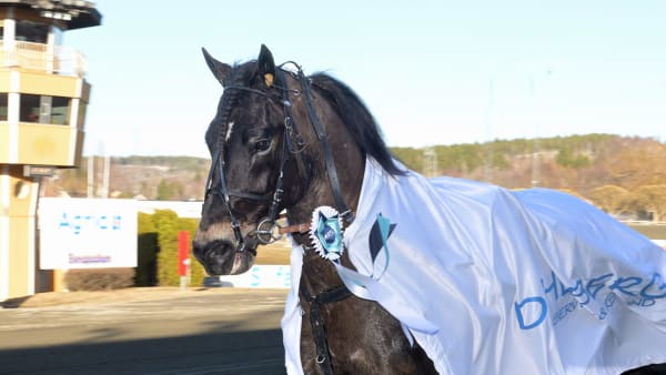 Foto: LARS JAKOBSSON / TR BILD