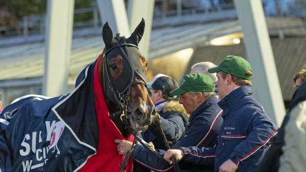 Foto: JEAN-LUC LAMAÈRE/TR BILD