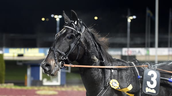 Foto: LARS JAKOBSSON / TR BILD