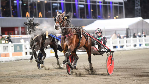 Foto: MALIN ALBINSSON / TR BILD