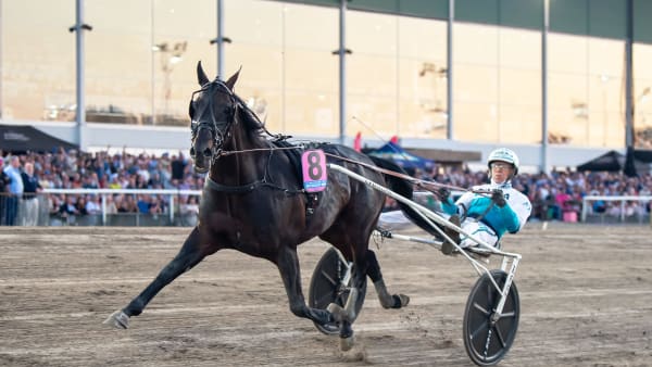 Foto: MIKAEL ROSENQUIST / TR BILD