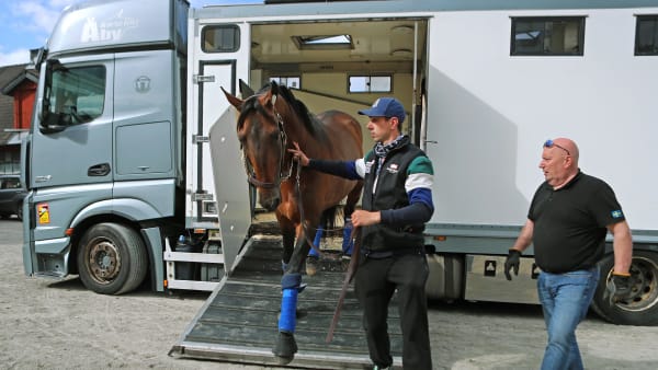 Foto: MARIA HOLMÉN / TR BILD