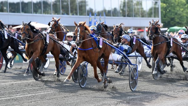Foto: MALIN ALBINSSON / TR BILD