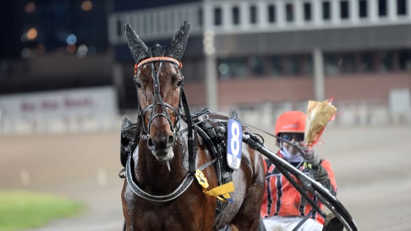 Foto: LARS JAKOBSSON / TR BILD