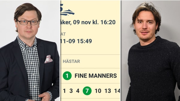 Foto: MONTAGE/TR BILD/ATG.SE