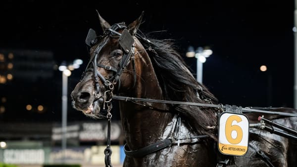 Foto: LENA EMMOTH / TR BILD