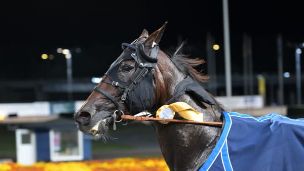 Foto: LARS JAKOBSSON / TR BILD