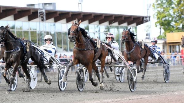 Foto: MALIN ALBINSSON / TR BILD