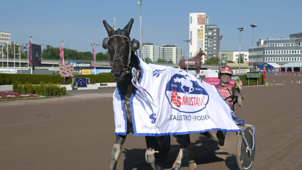 Foto: LARS JAKOBSSON / TR BILD