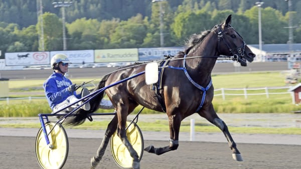 Foto: LARS JAKOBSSON / TR BILD