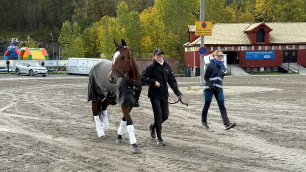 Foto: Tony Ryttar/TR Bild