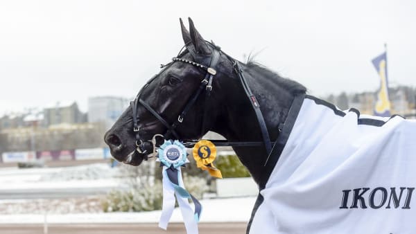 Foto: LARS JAKOBSSON / TR BILD