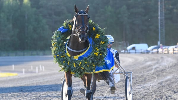 Foto: MALIN ALBINSSON / TR BILD