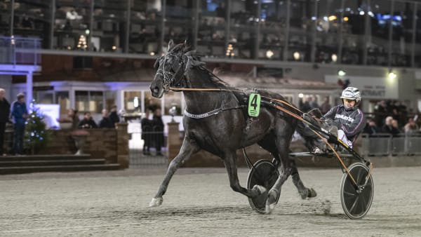 Foto: LENA EMMOTH / TR BILD